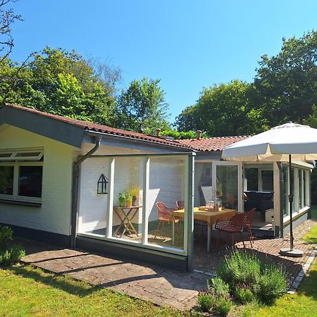 Vakantiehuis La Petite Redousse Renesse Exterior foto